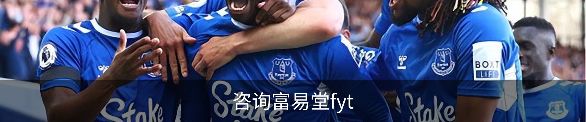 咨询富易堂fyt
